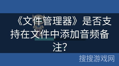 《文件管理器》是否支持在文件中添加音频备注？