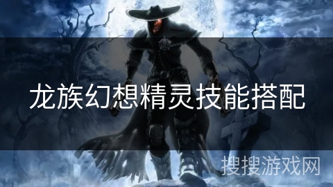 龙族幻想精灵技能搭配