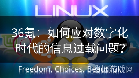 36氪：如何应对数字化时代的信息过载问题？