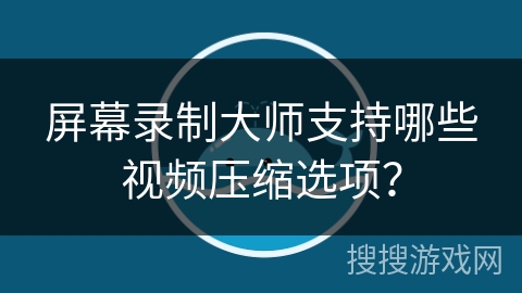 屏幕录制大师支持哪些视频压缩选项？