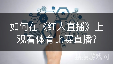 如何在《红人直播》上观看体育比赛直播？