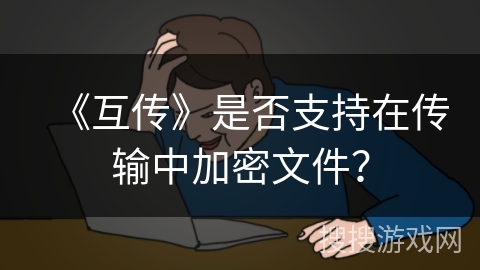 《互传》是否支持在传输中加密文件？