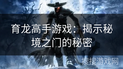 育龙高手游戏：揭示秘境之门的秘密