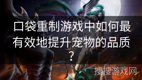 口袋重制游戏中如何最有效地提升宠物的品质？