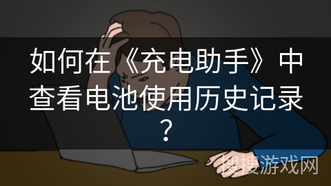 如何在《充电助手》中查看电池使用历史记录? 如何在《充电助手》中查看电池使用历史记录?