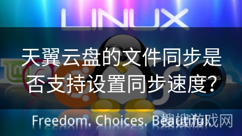 天翼云盘的文件同步是否支持设置同步速度？