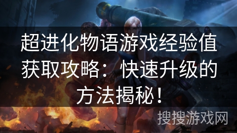 超进化物语游戏经验值获取攻略：快速升级的方法揭秘！