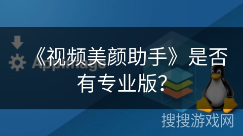 《视频美颜助手》是否有专业版？
