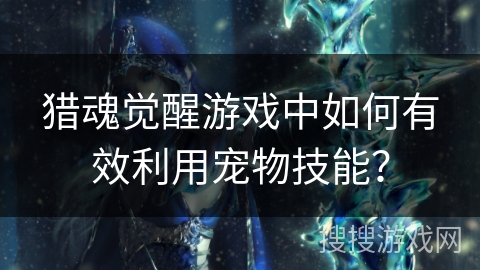 猎魂觉醒游戏中如何有效利用宠物技能？