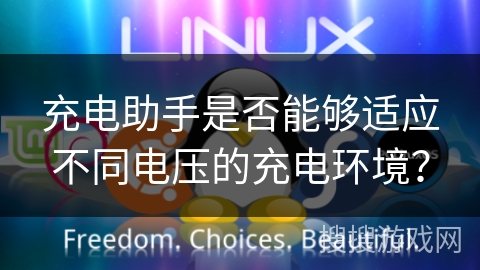 充电助手是否能够适应不同电压的充电环境？