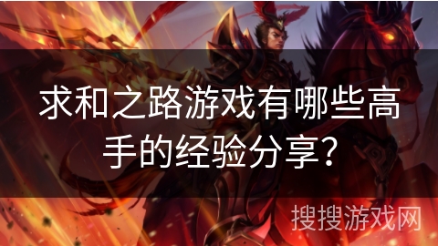 求和之路游戏有哪些高手的经验分享？