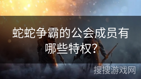 蛇蛇争霸的公会成员有哪些特权？