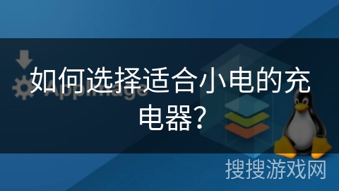 如何选择适合小电的充电器？