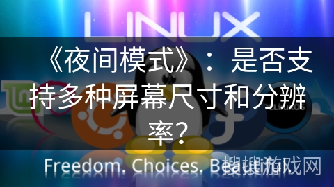 《夜间模式》:是否支持多种屏幕尺寸和分辨率? 《夜间模式》:是否支持多种屏幕尺寸和分辨率?