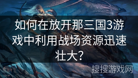 如何在放开那三国3游戏中利用战场资源迅速壮大？