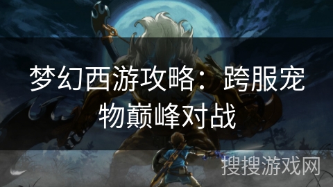 梦幻西游攻略：跨服宠物巅峰对战