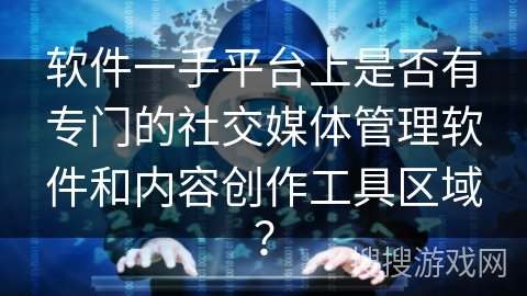 软件一手平台上是否有专门的社交媒体管理软件和内容创作工具区域？