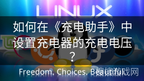 如何在《充电助手》中设置充电器的充电电压？