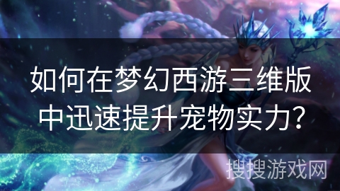 如何在梦幻西游三维版中迅速提升宠物实力？