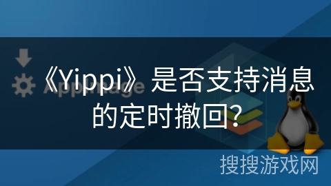 《Yippi》是否支持消息的定时撤回？