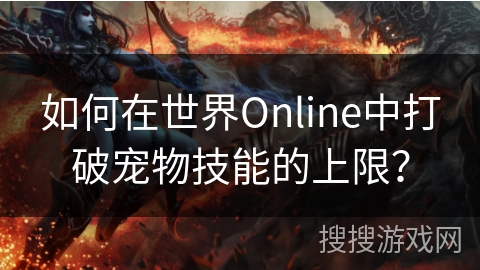 如何在世界Online中打破宠物技能的上限？