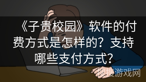 《子贵校园》软件的付费方式是怎样的？支持哪些支付方式？