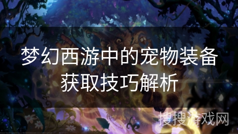 梦幻西游中的宠物装备获取技巧解析