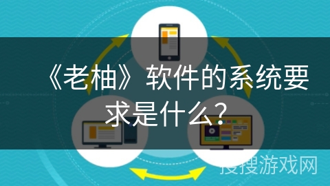 《老柚》软件的系统要求是什么？