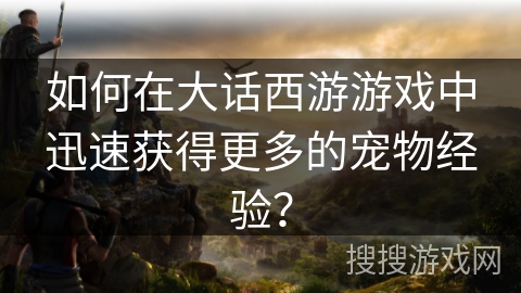 如何在大话西游游戏中迅速获得更多的宠物经验？