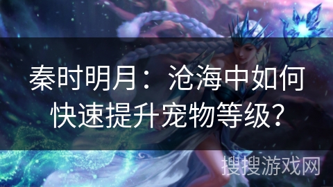 秦时明月：沧海中如何快速提升宠物等级？