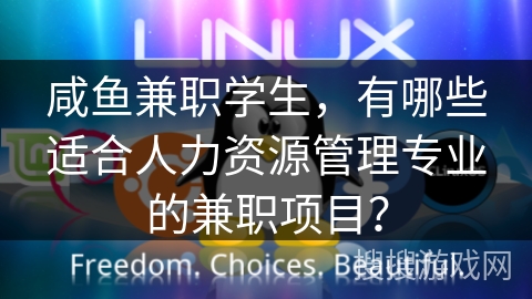 咸鱼兼职学生，有哪些适合人力资源管理专业的兼职项目？