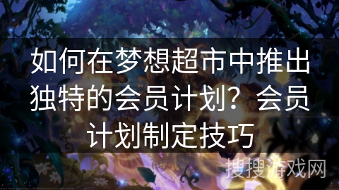 如何在梦想超市中推出独特的会员计划？会员计划制定技巧