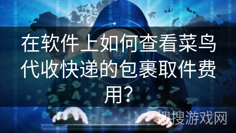 在软件上如何查看菜鸟代收快递的包裹取件费用？
