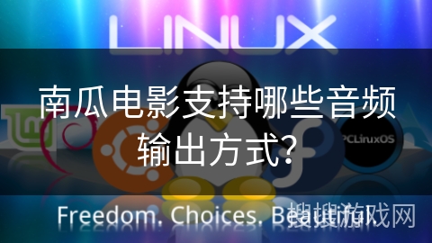 南瓜电影支持哪些音频输出方式？