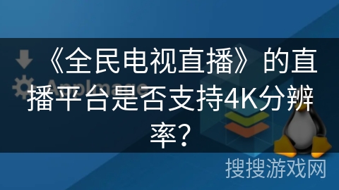 《全民电视直播》的直播平台是否支持4K分辨率？