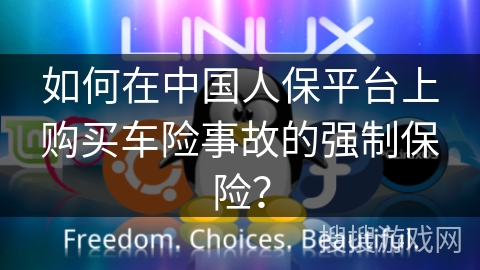 如何在中国人保平台上购买车险事故的强制保险？