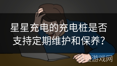 星星充电的充电桩是否支持定期维护和保养？