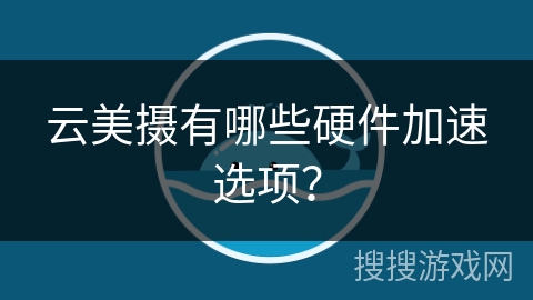 云美摄有哪些硬件加速选项? 云美摄有哪些硬件加速选项?