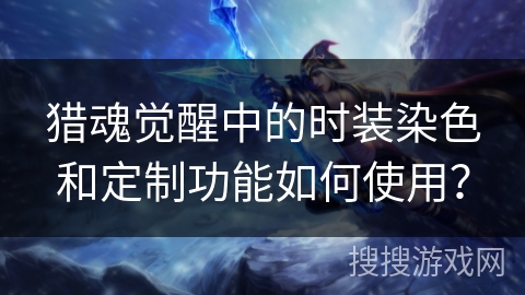 猎魂觉醒中的时装染色和定制功能如何使用？