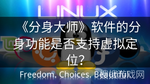 《分身大师》软件的分身功能是否支持虚拟定位? 《分身大师》软件的分身功能是否支持虚拟定位?