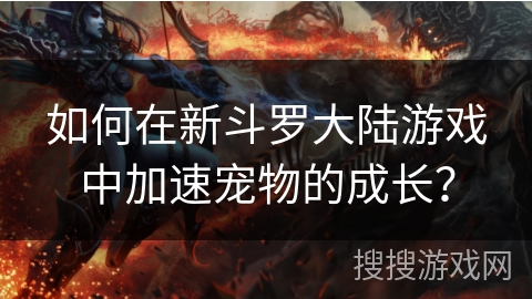 如何在新斗罗大陆游戏中加速宠物的成长？