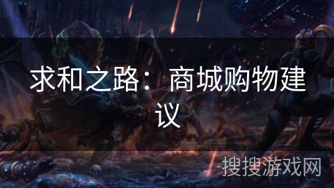 求和之路：商城购物建议