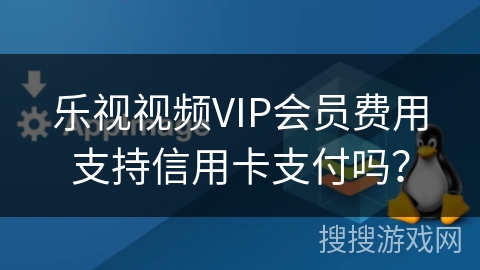 乐视视频VIP会员费用支持信用卡支付吗? 乐视视频VIP会员费用支持信用卡支付吗?