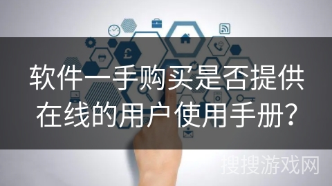 软件一手购买是否提供在线的用户使用手册？