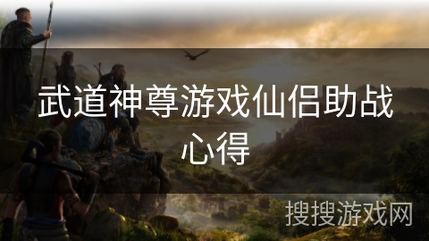 武道神尊游戏仙侣助战心得
