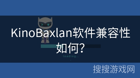 KinoBaxlan软件兼容性如何? KinoBaxlan软件兼容性如何?