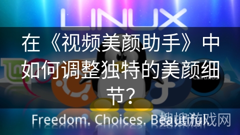在《视频美颜助手》中如何调整独特的美颜细节？