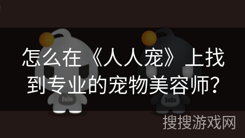 怎么在《人人宠》上找到专业的宠物美容师？
