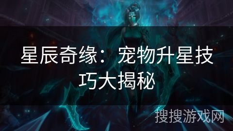 星辰奇缘：宠物升星技巧大揭秘