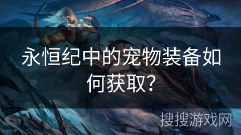 永恒纪中的宠物装备如何获取？